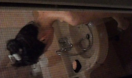 長髪の金髪に吸コックしゃ.MP4 巨乳 素人 アダルト